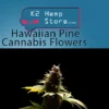 Hawaiian Pine Cannabis Flowers (Hawaiian Sativa)
