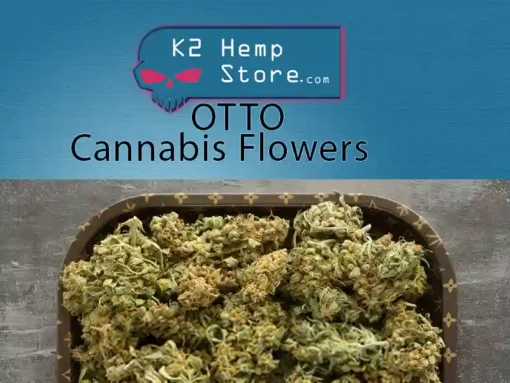 OTTO Cannabis Flowers (otto cannabis strain - otto cannabis)