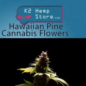 hawaiian pine cannabis flower