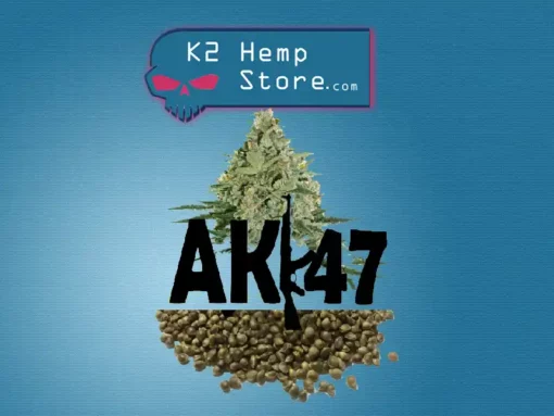 Ak-47 Cannabis Seeds (ak-47 strain) (ak 47 seeds)(cannabis ak 47) (ak-47 cannabis strain)
